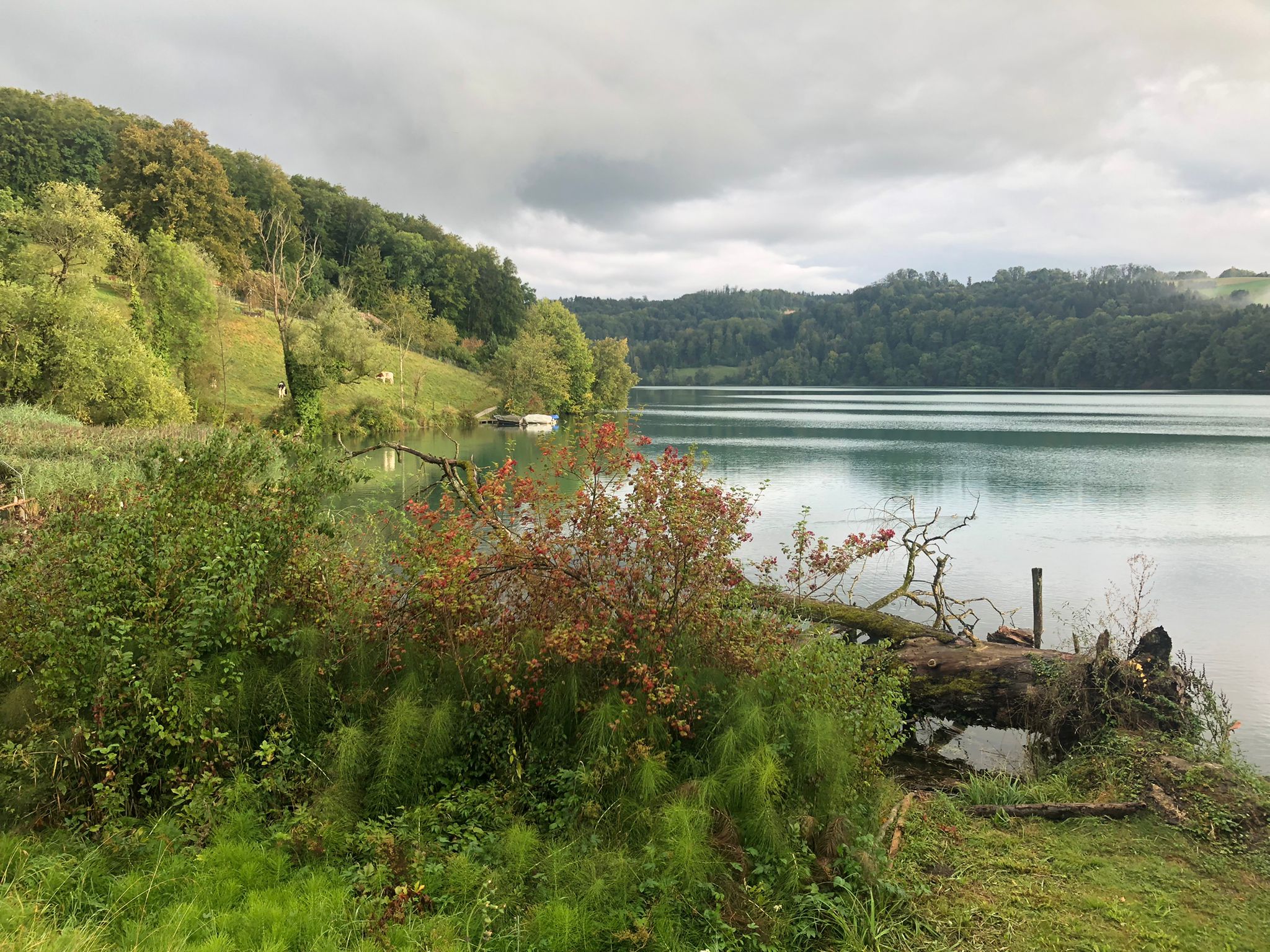 Blick auf den Wohlensee